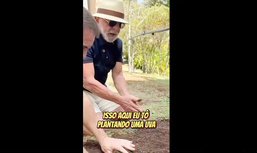 Lula publica vídeo plantando uva e afirma a Trump que “planta comida, não violência” - Imagem do artigo original