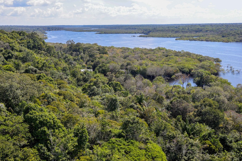 Lula viajará a Bogotá para oficializar respaldo de países amazônicos a fundo global de florestas - Imagem do artigo original