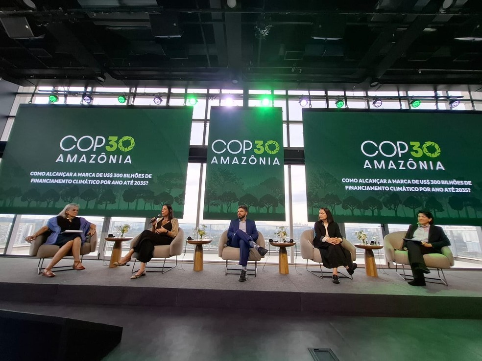 Especialistas apontam ampliação do financiamento privado como obstáculo central rumo à COP30 - Imagem do artigo original