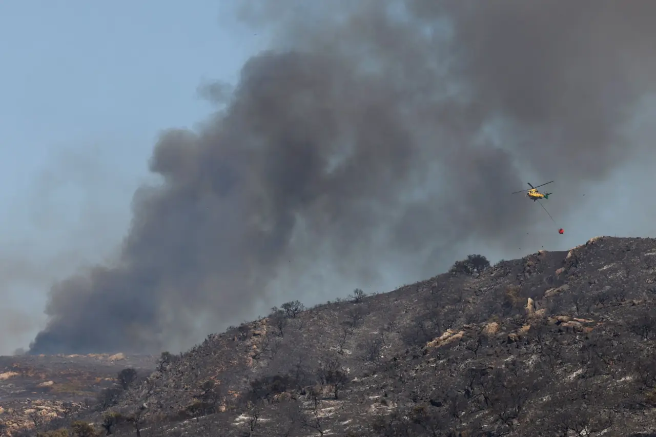Imagem destacada - Incêndios florestais avançam na Espanha durante onda de calor e deixam duas vítimas