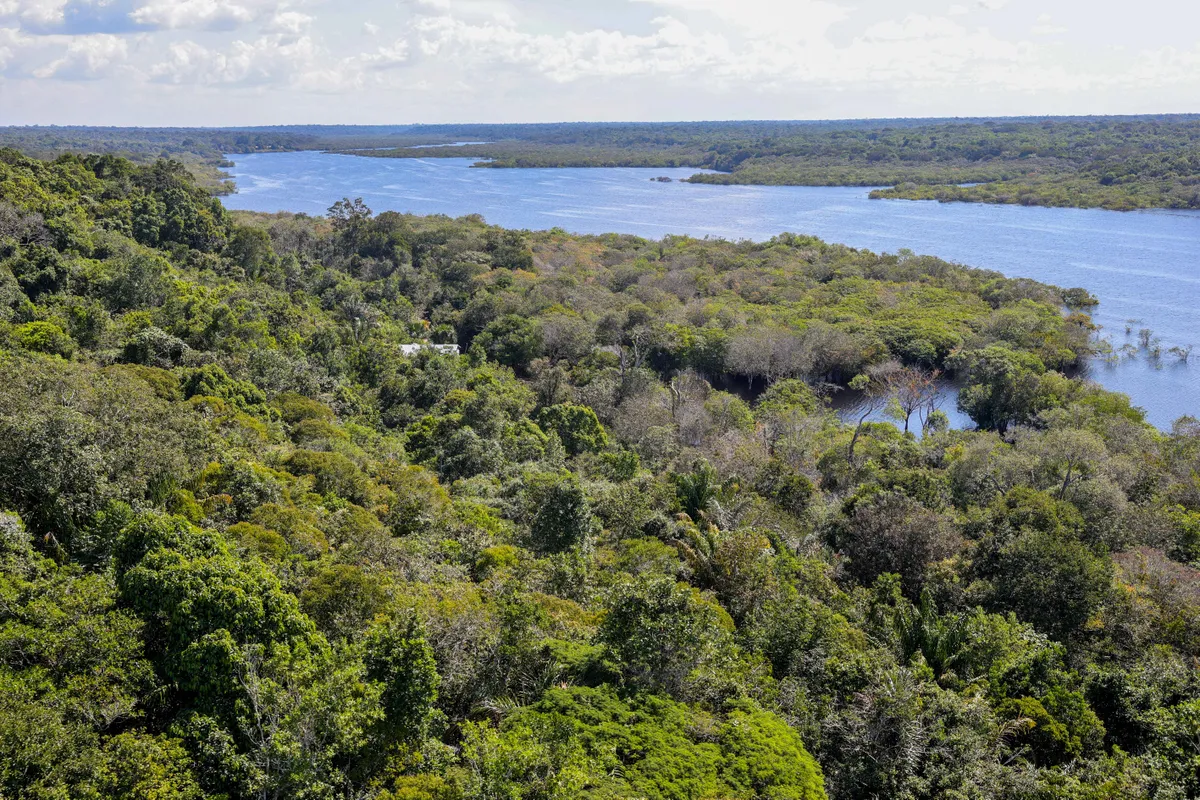 Imagem destacada - Lula viajará a Bogotá para oficializar respaldo de países amazônicos a fundo global de florestas