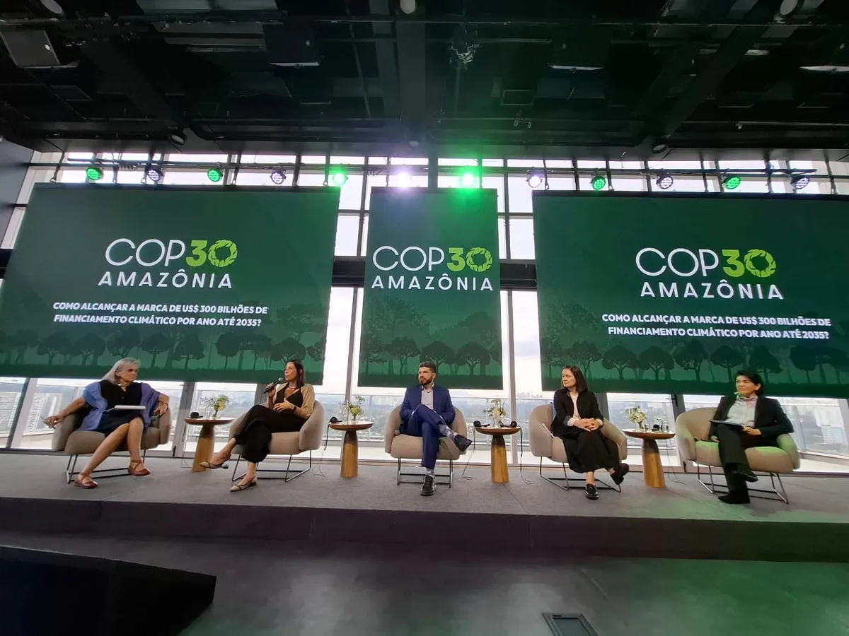 Imagem destacada - Especialistas apontam ampliação do financiamento privado como obstáculo central rumo à COP30