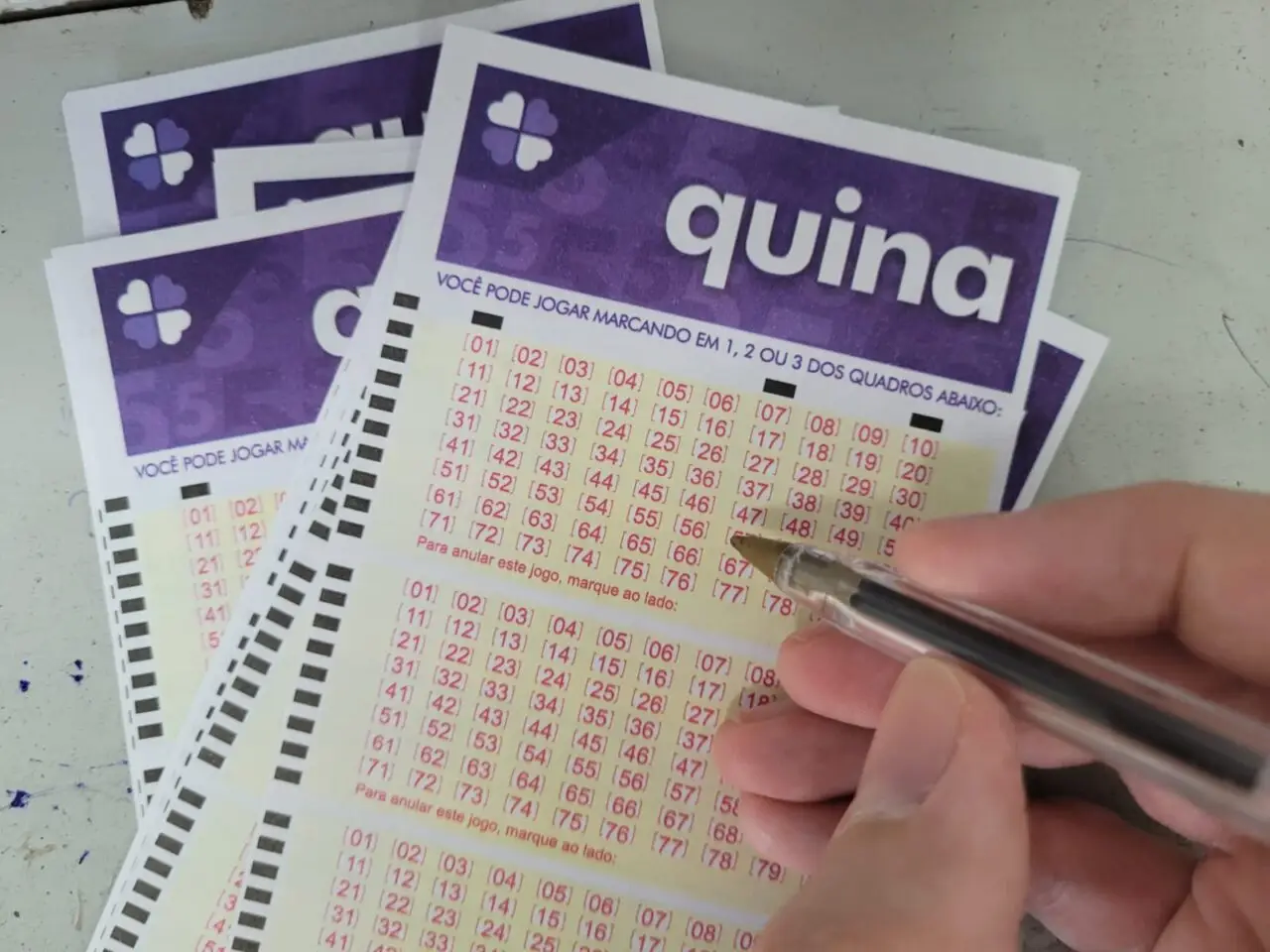 Imagem destacada - Quina concurso 6806: números sorteados e prêmio estimado em R$ 8,68 milhões