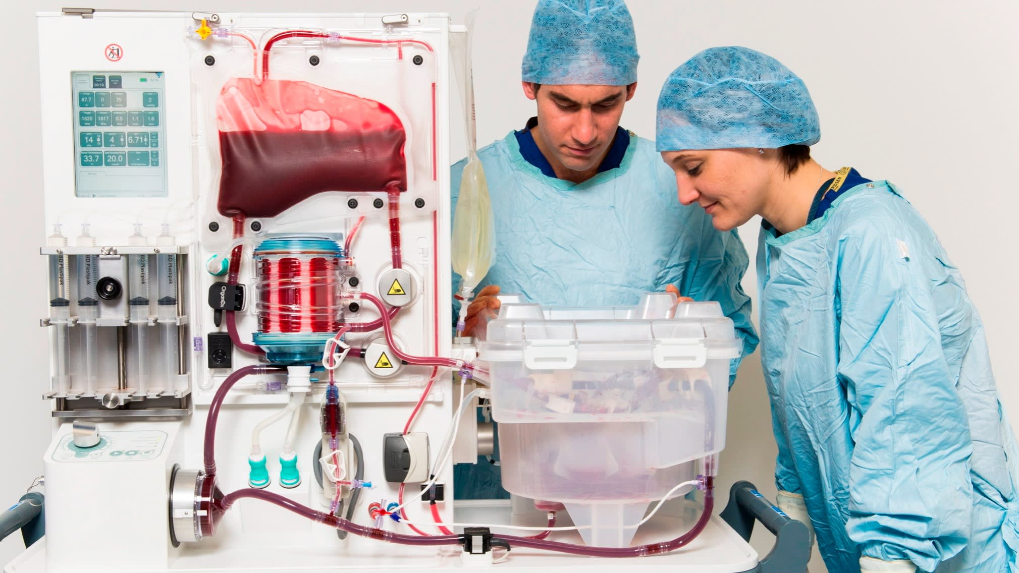 Imagem destacada - Terumo compra OrganOx, spin-off da Universidade de Oxford, por US$ 1,5 bilhão