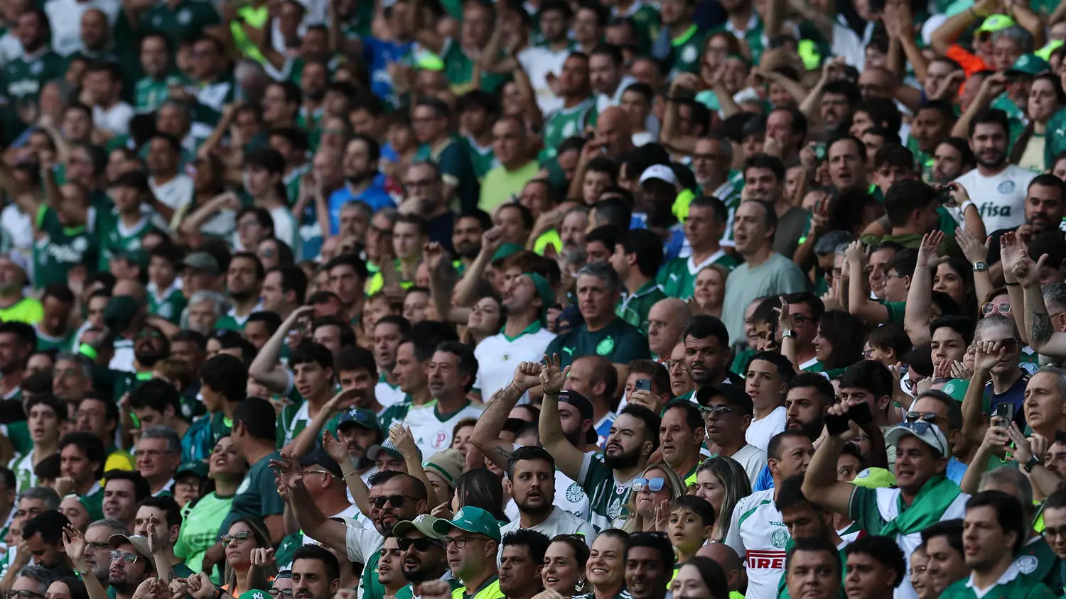 Imagem destacada - Palmeiras recebe Sport no Allianz Parque pela 21ª rodada do Brasileirão; veja onde assistir