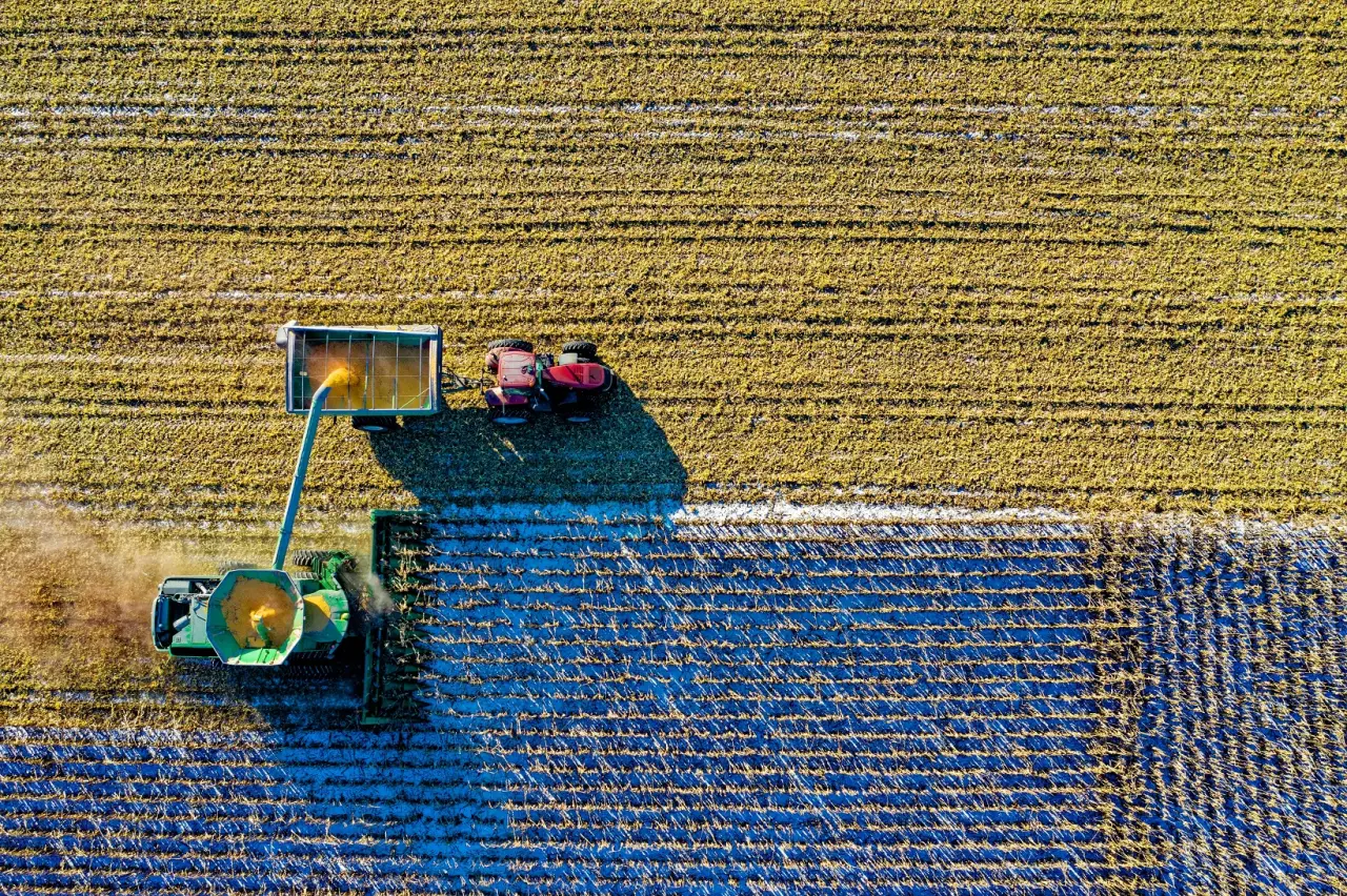 Imagem destacada - Gestores de Fiagro criam estratégias para reduzir volatilidade e atrair investidores